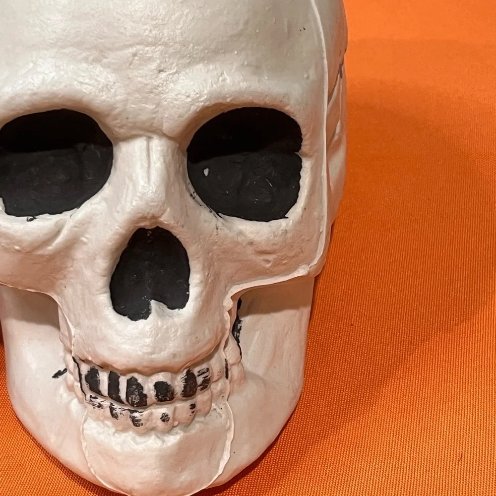 6/$25 Gray and White Skull Decor Set - Picture 2 of 15